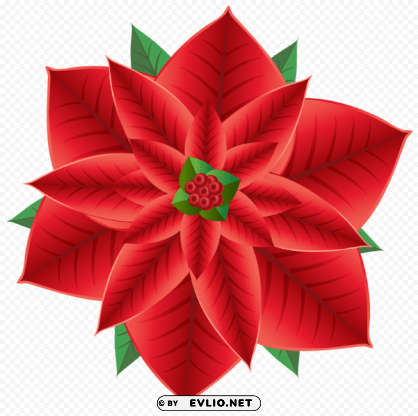 christmas poinsettia Transparent Background Isolated PNG Design