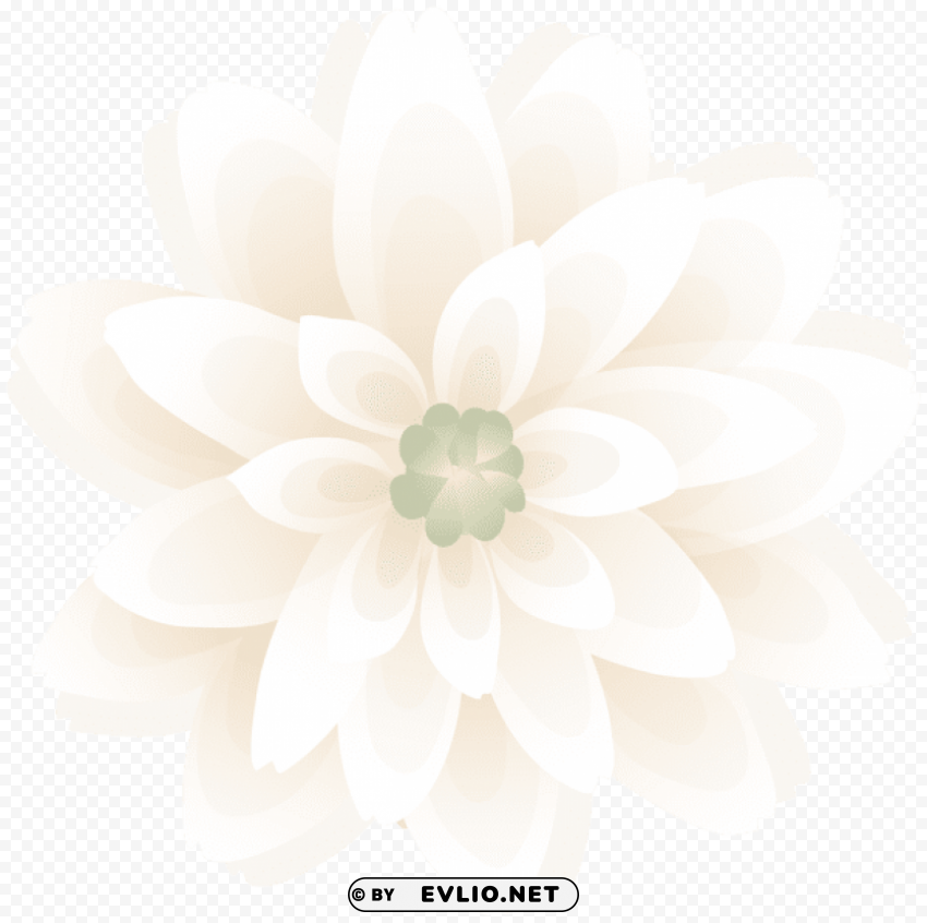 flower deco PNG with transparent background for free