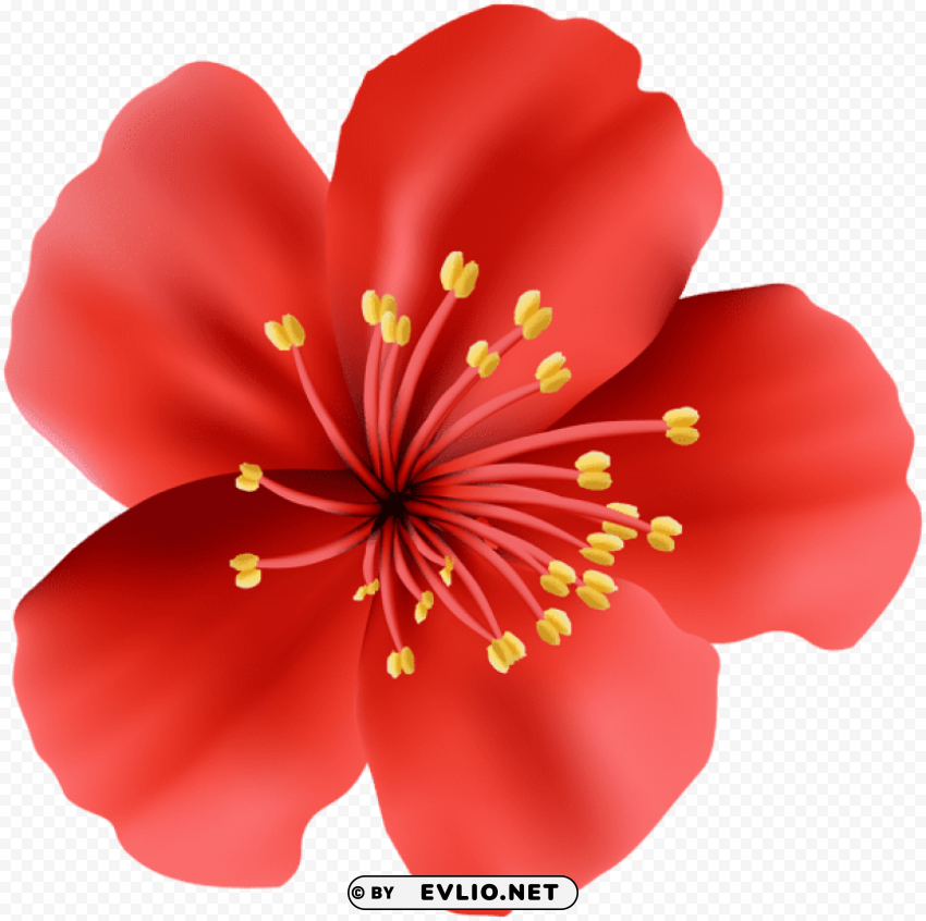 Red Flower PNG Isolated Subject On Transparent Background