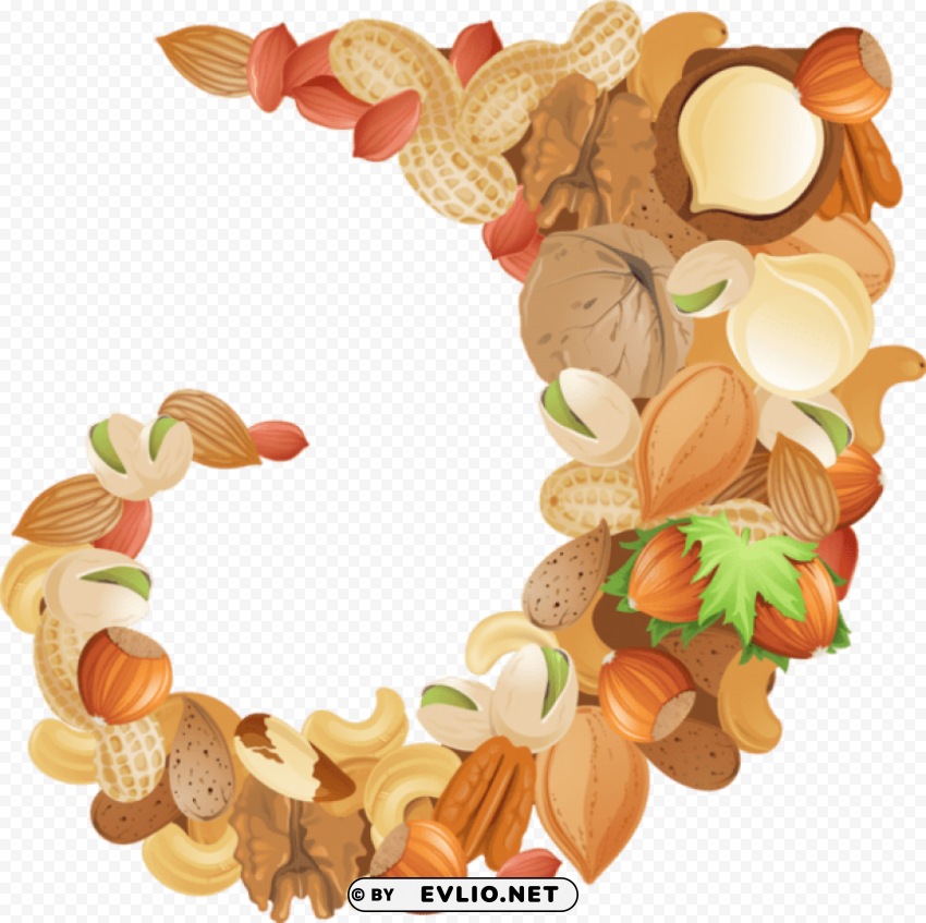 Nuts PNG Transparent Photos Massive Collection