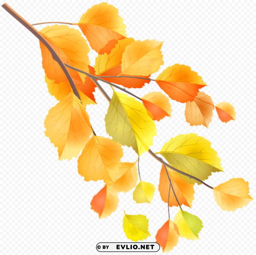 autumn branch Clean Background PNG Isolated Art clipart png photo - acca0e92