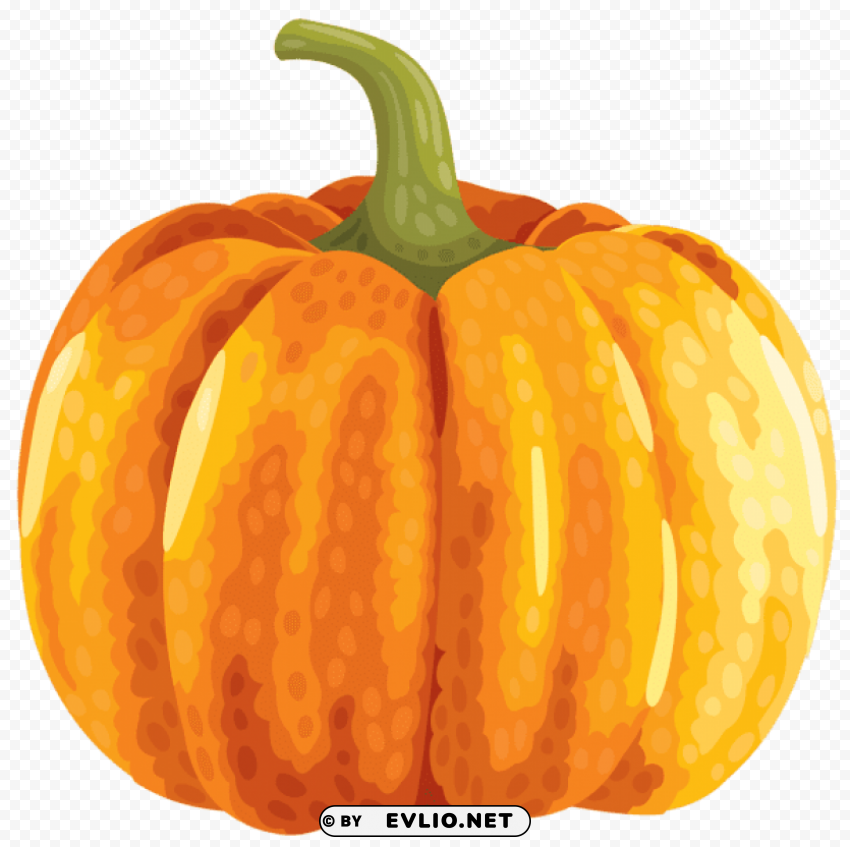 large autumn pumpkin High-resolution transparent PNG images variety