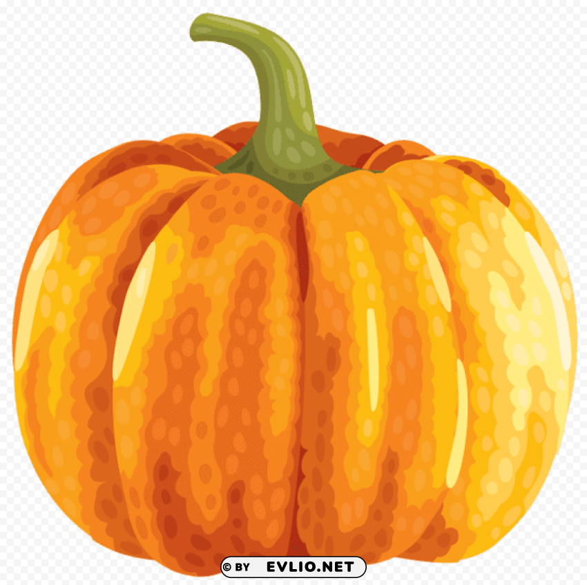 Large Autumn Pumpkin High-resolution Transparent PNG Images Variety