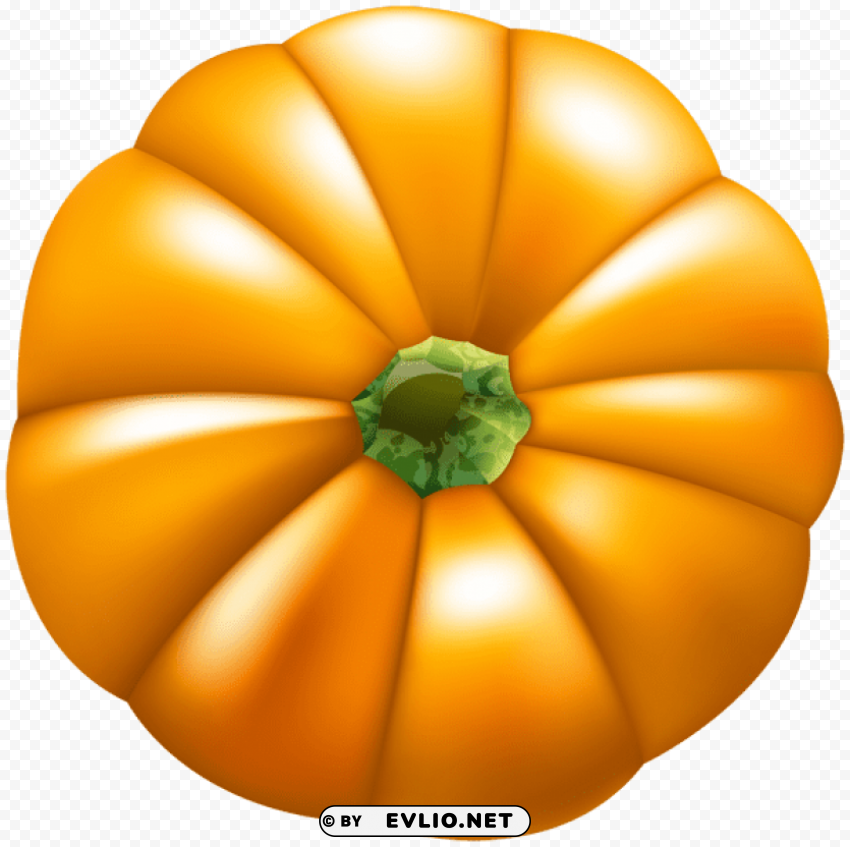 Orange Pumpkin Clear Background PNG Isolation