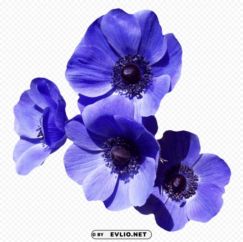 PNG image of purple flower PNG Image with Transparent Background Isolation with a clear background - Image ID dcfa57e6