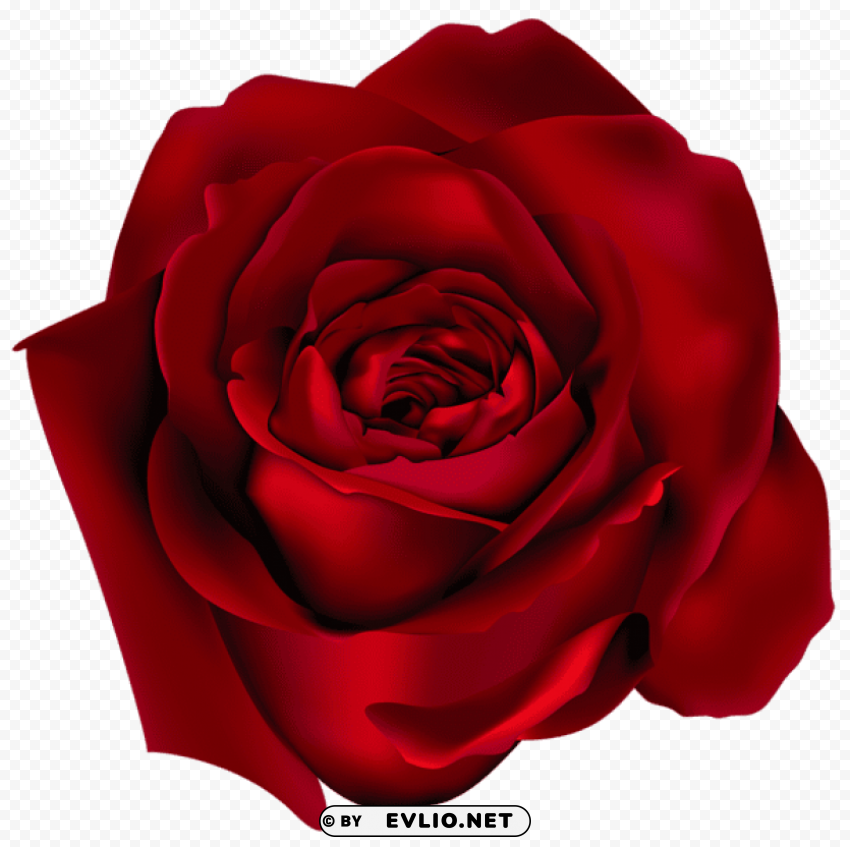 PNG image of  red rosepicture Isolated Design Element in Transparent PNG with a clear background - Image ID d23da415
