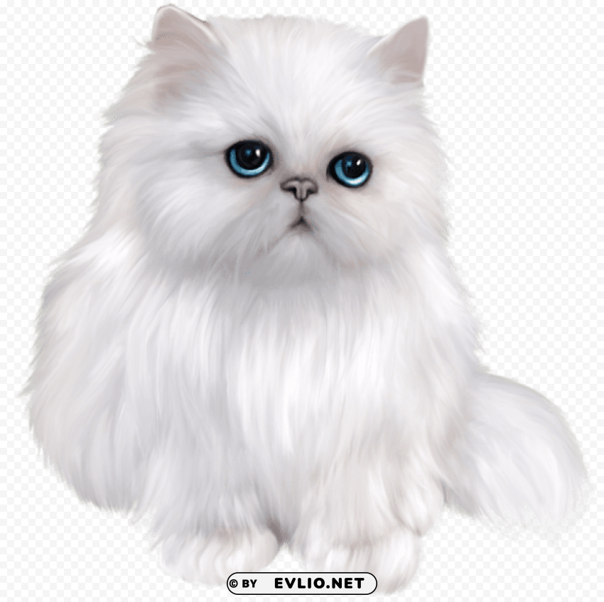 white persian cat Isolated Subject with Transparent PNG