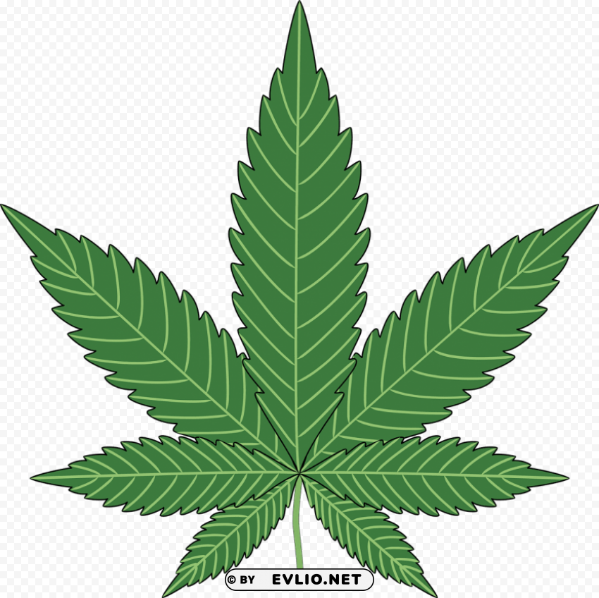 cannabis PNG with clear overlay