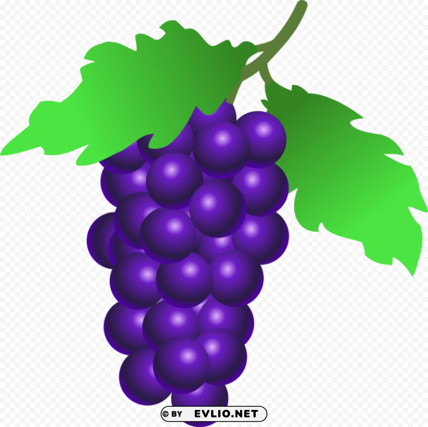 grapes clip art PNG for t-shirt designs