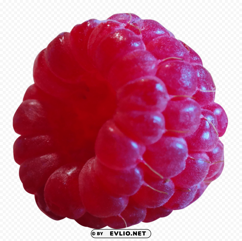 Raspberry Isolated Object on HighQuality Transparent PNG