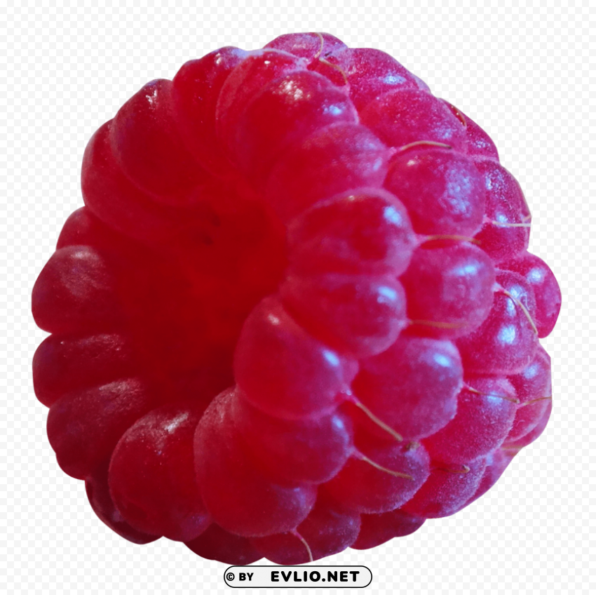 raspberry PNG transparent photos comprehensive compilation PNG images with transparent backgrounds - Image ID 731439b3