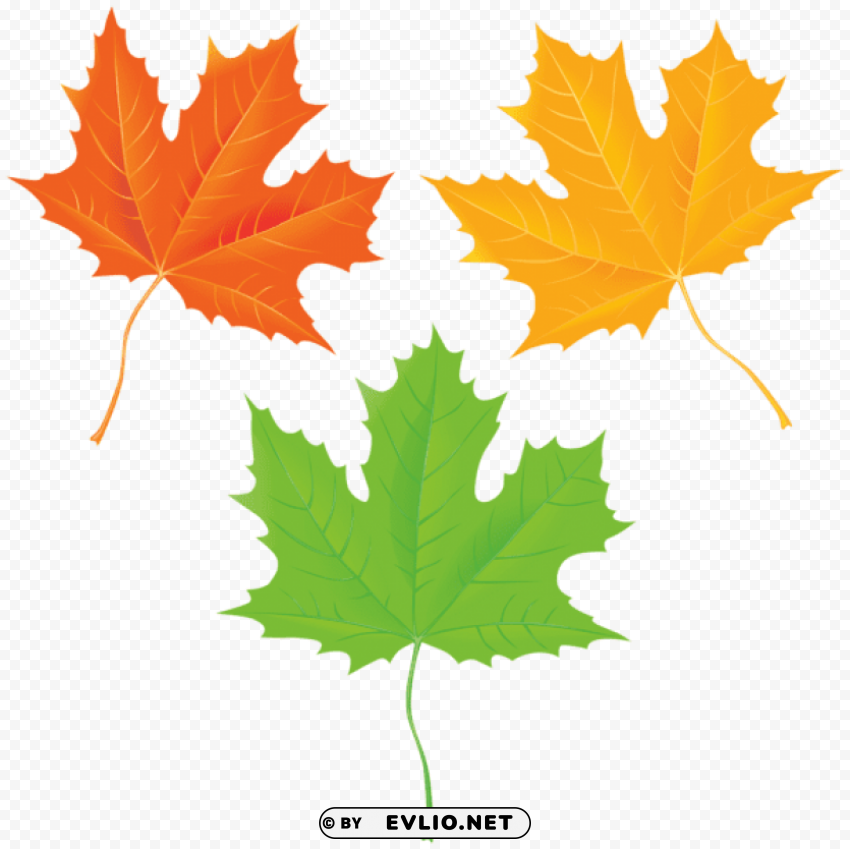 autumn leaves PNG images transparent pack clipart png photo - 5aa4a97b