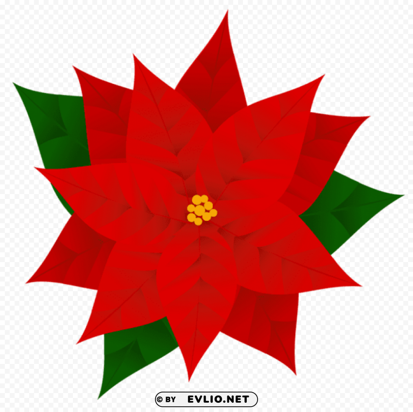poinsettia PNG images with no background necessary