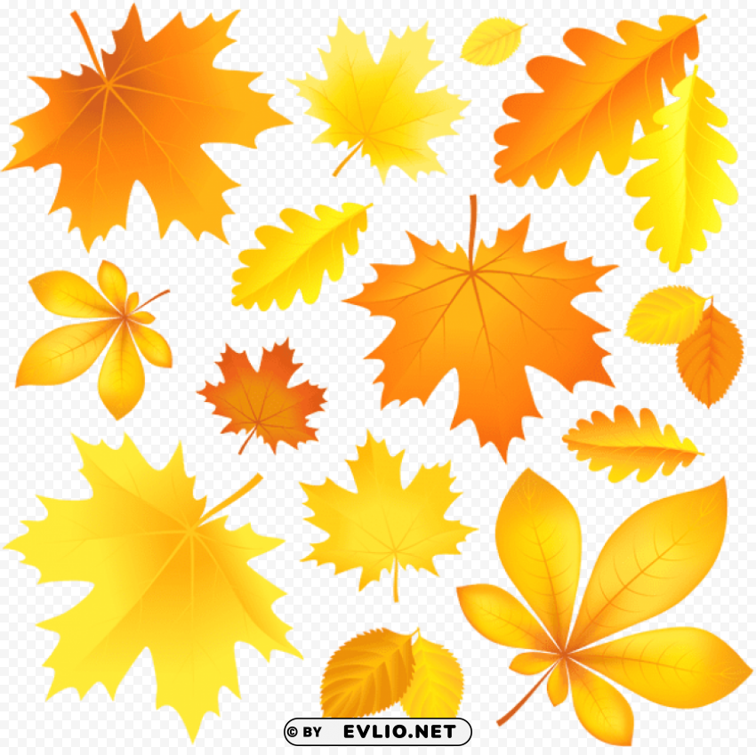  fall leaves picture PNG transparent pictures for projects