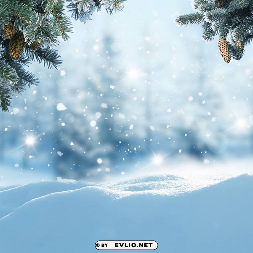 winter snowywith pine branches PNG Image Isolated with Transparency