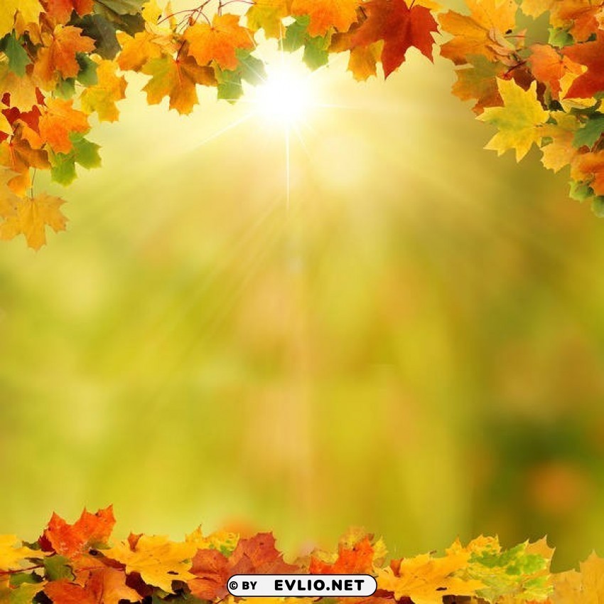 with autumn leaves PNG files with clear background bulk download