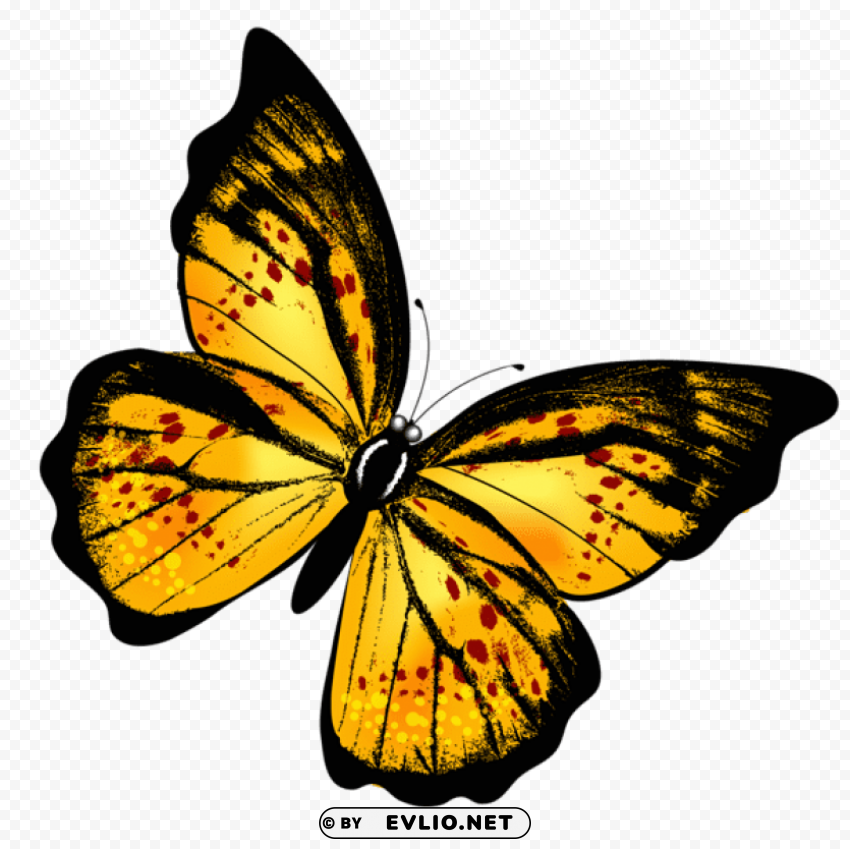 yellow transparent butterflypicture PNG images with alpha transparency layer clipart png photo - 4a04150d