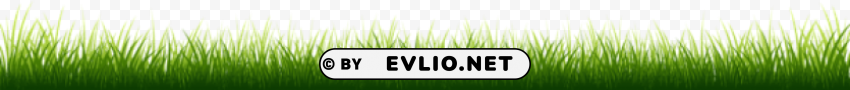 grass Isolated Item with HighResolution Transparent PNG