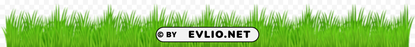 PNG image of grass Transparent PNG pictures for editing with a clear background - Image ID d06f38ac