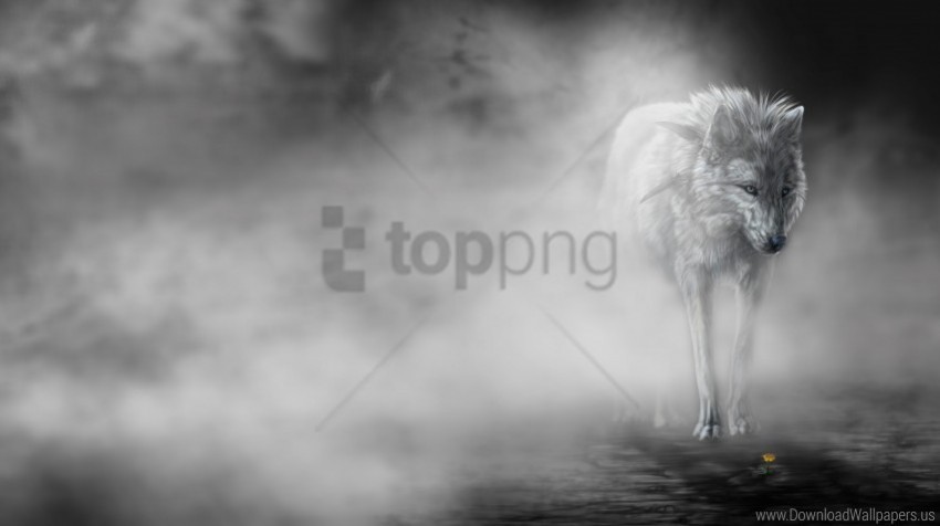 mist flower the wolf wallpaper PNG images for printing