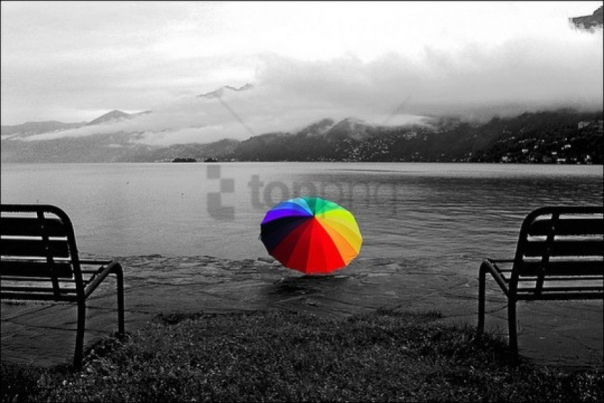 black and white pictures with a splash of color PNG Image Isolated with Transparent Detail