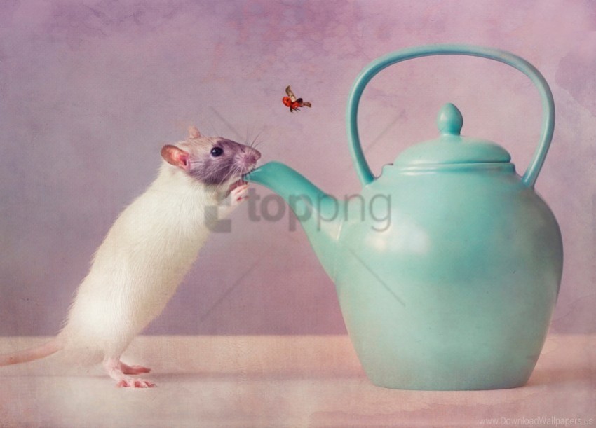 Ladybug Maker Mouse Wallpaper High-resolution Transparent PNG Images Set
