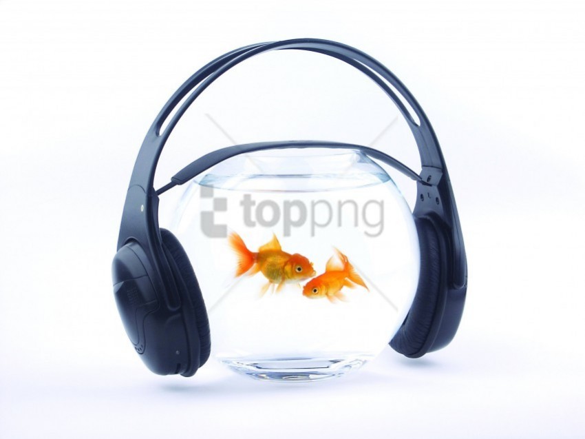 aquarium fish headphones music white background wallpaper HighQuality Transparent PNG Isolated Element Detail