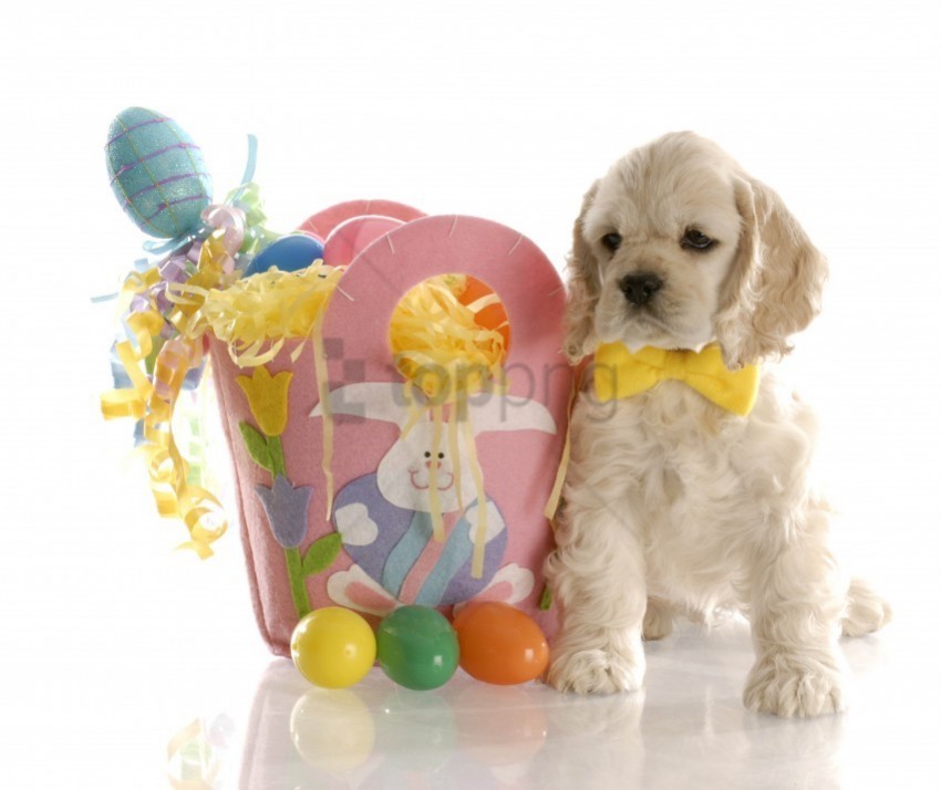 bag easter eggs puppy white wallpaper PNG files with no background bundle
