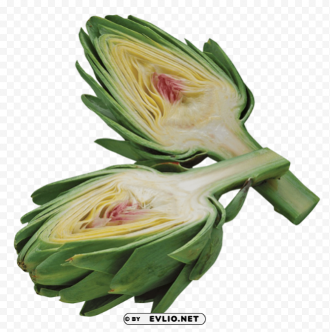 Artichoke PNG Files With Clear Background Collection