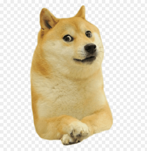 Doge Facing Right Transparent Background PNG Isolated Pattern