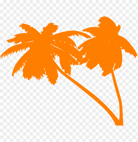 Palm Tree Vector PNG Files With No Royalties