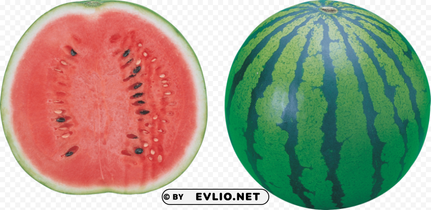 Watermelon PNG For Business Use